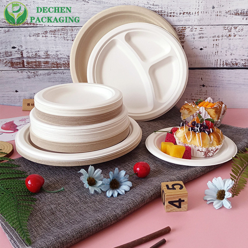 Disposable 9" Plate Bio-Based Made from Sugarcane Bagasse